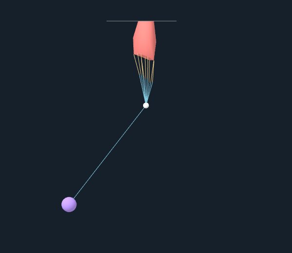 Native rendering after seven loaded steps: coral is the actual P2 tissue boundary, gold shows nine distributed tendons, blue is the hinged rigid lever and violet is the point mass.