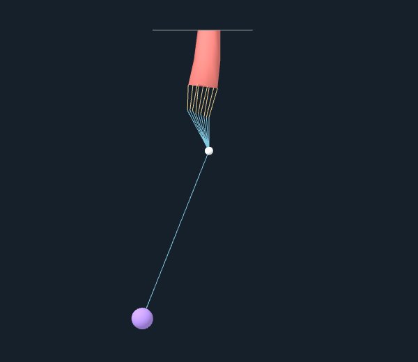 The same coupled engineering fixture after five released-effort steps; activation and angle fall while the tissue coordinates remain part of the joint solve.